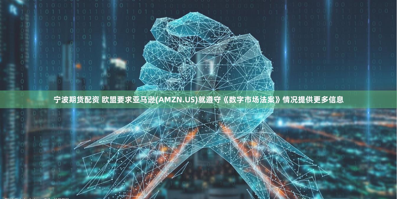 宁波期货配资 欧盟要求亚马逊(AMZN.US)就遵守《数字市场法案》情况提供更多信息