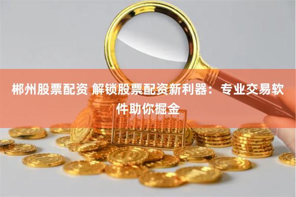 郴州股票配资 解锁股票配资新利器:专业交易软件助你掘金